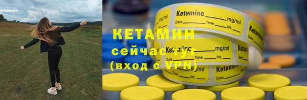шишки Белоозёрский