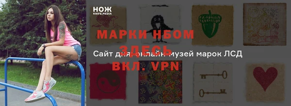 спиды Богородицк