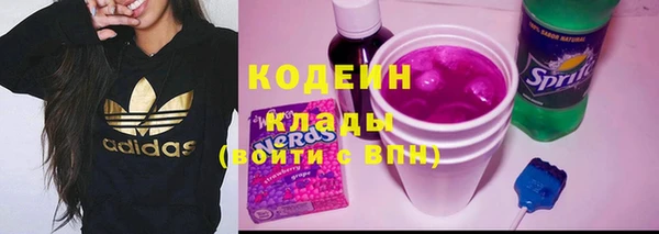 шишки Белоозёрский