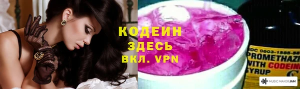 шишки Белоозёрский