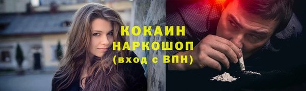 шишки Белоозёрский