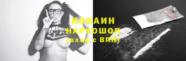 шишки Белоозёрский