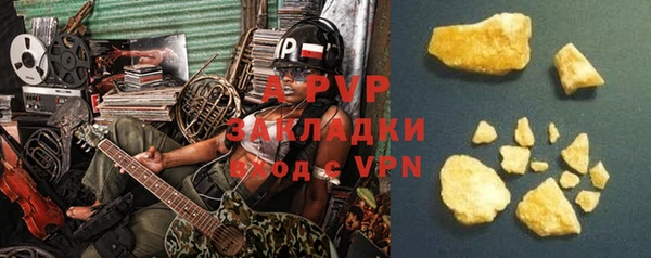 спиды Богородицк