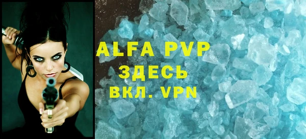 спиды Богородицк
