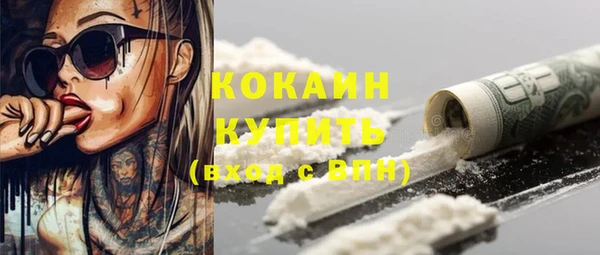тгк Каменногорск