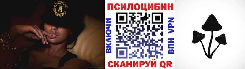 цена Вельск Галлюциногенные грибы Magic Shrooms