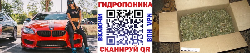 мориарти какой сайт  MEGA рабочий сайт  Вельск  купить наркотик  Бошки Шишки White Widow 